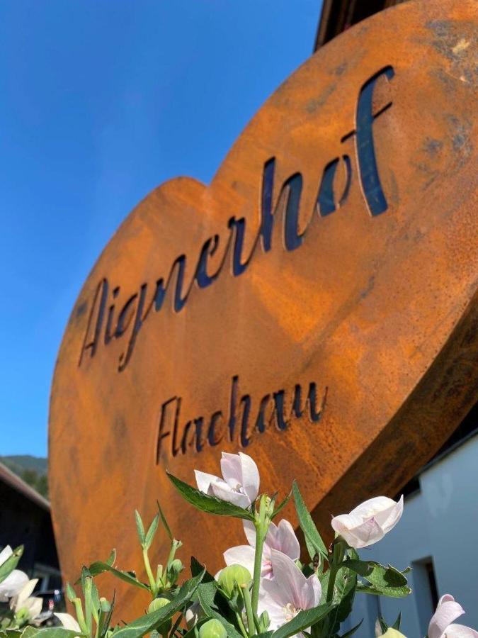 Aignerhof Apartman Flachau Kültér fotó