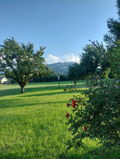 Aignerhof Apartman Flachau Kültér fotó